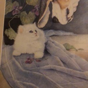 Meet your Posher, Sonia